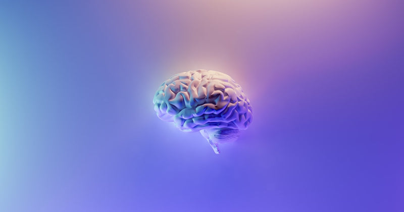 ADHD in 2026: What Every Malaysian Should Know