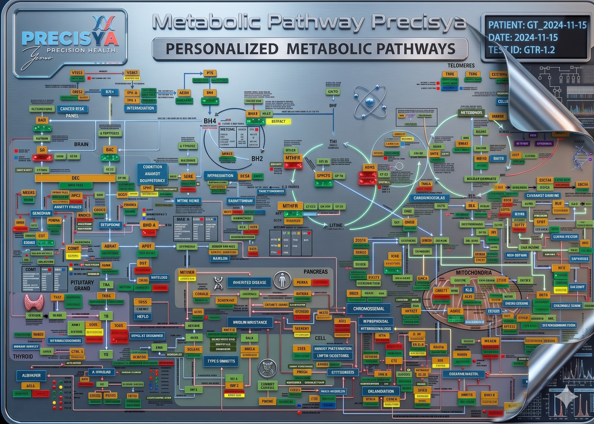 Precisya Metabolic Pathway