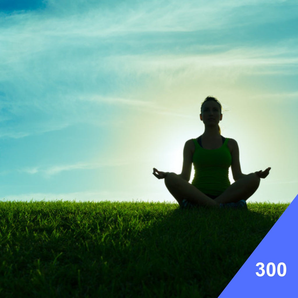Meditation Coaching service card, RM300